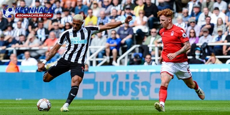 Soi kèo Newcastle vs Nottingham