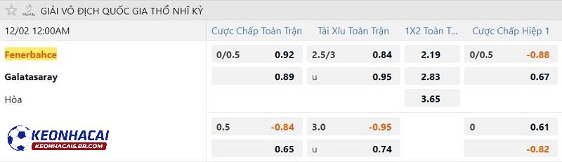 Tỷ lệ soi kèo Fenerbahce vs Galatasaray Tỷ lệ soi kèo Fenerbahce vs Galatasaray