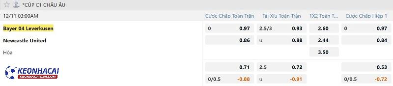 Tỷ lệ soi kèo Bayer Leverkusen vs Newcastle Tỷ lệ soi kèo Bayer Leverkusen vs Newcastle