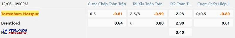 Tỷ lệ soi kèo Tottenham vs Brentford Tỷ lệ soi kèo Tottenham vs Brentford